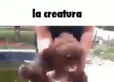 “Scary Monsters!”