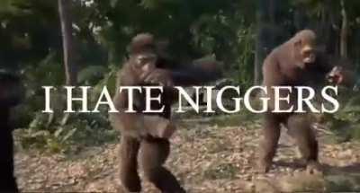 I’ll just leave this here