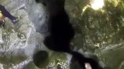 Checking out the caves