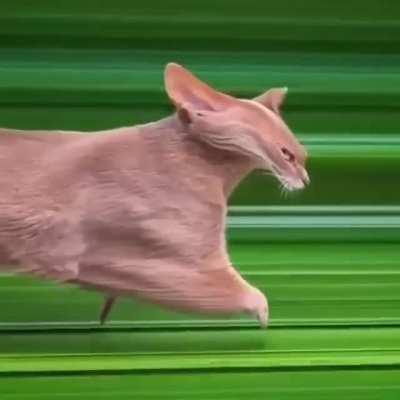 Remember to not carry any item above the 2nd dimension while travelling through the V̵̡̘̖͔̼̹͇̤̂̐̓̈́̎̽́̑͝Ọ̶̢̼̗̖̪͙̝͎͖̬͈͔̬̎̈́̈́̑̉͑͋I̶̧̨̡̼͕̮̖̼̟͚̝̯͇̭̼͑̉̚D̵̢̛̫̬̙̘͎̆̈͗̇̓̿̃͑̀͐̕͝