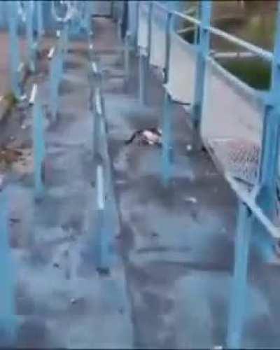 I'm 15 and this is yeet