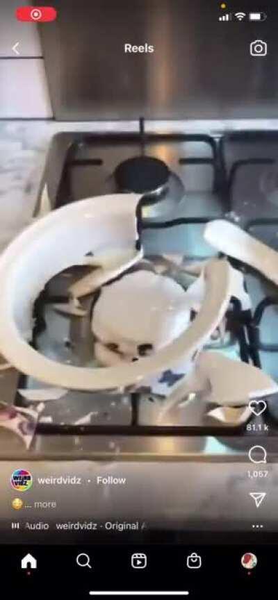 What the fuck was she trying to cook