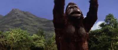 Mais um ponto pro time do Kong