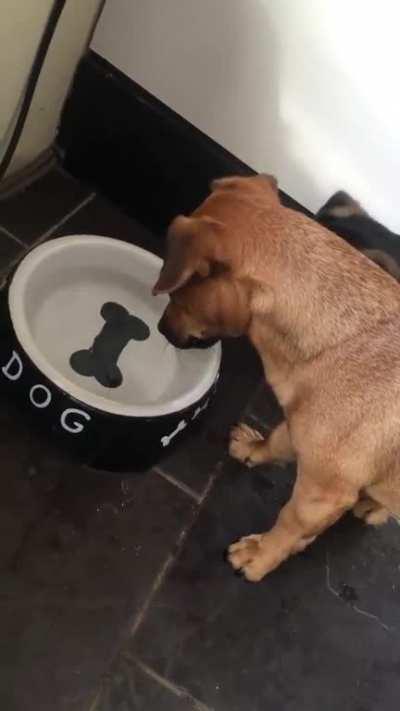 What kind of sorcery is this?