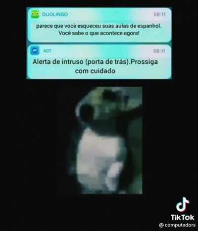 LE DE CIMA PRA BAIXO