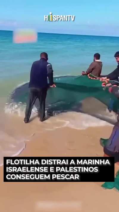 Contexto: israel impede os palestinos de pescar para se alimentar, mas isso não foi possível por uns dias graças a Flotilha. Vídeo por @hispantv_brasil