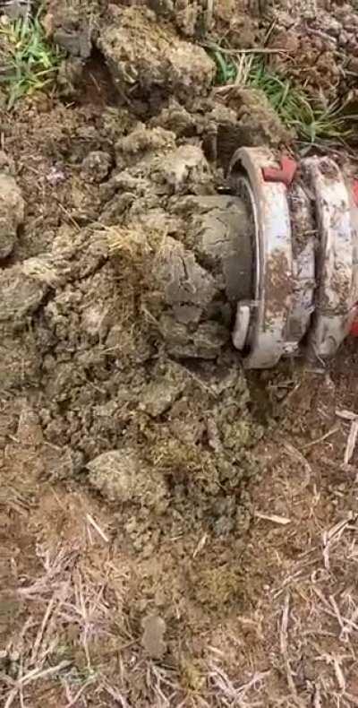 When you been holding it from school