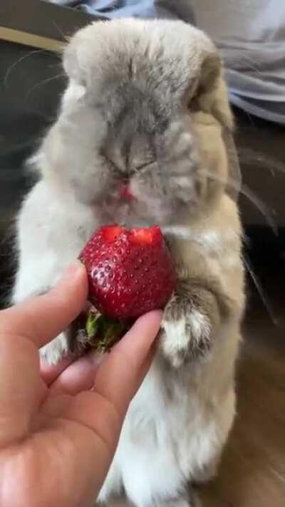 Red-y for my close up 💄💋