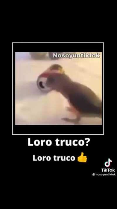 Loro truco