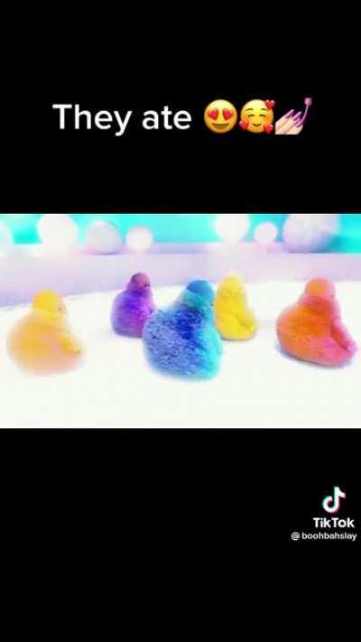 the things at the car wash 🥰🥰