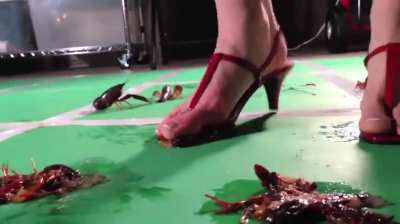 Veronikas Crawdad crushing