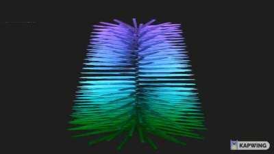 white people at the beach: