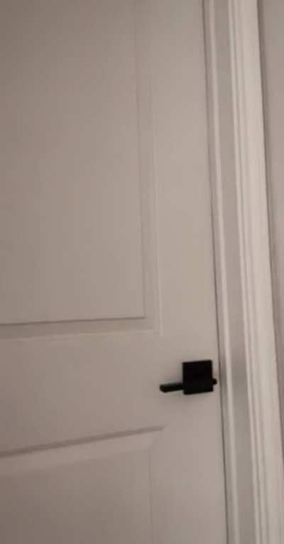 the best part about being my roommate