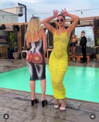 Back into the doggy pool