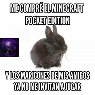 Las 5 lucas peores invertidas wn:(