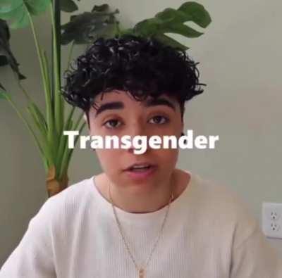 pls provide me with this template ( without any song, if possible )