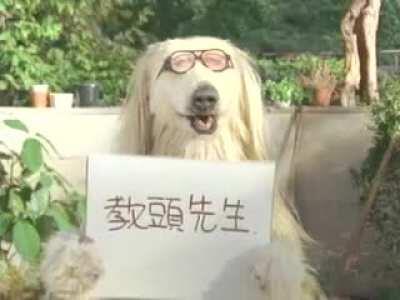 Calbee's television ad for Consomme Punch potato chips