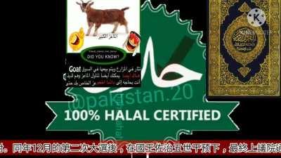 100% halalهههههههههههههه NO HARAM