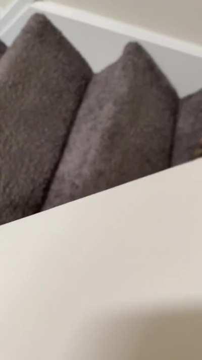 Broken kitty causes hooman to scream.