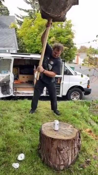 The destructor, the owner of the log hammer
