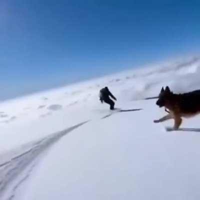 Looks like a lot of fun!