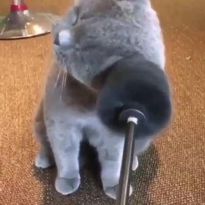 Oh yeah , that's the spot