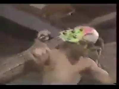 Red Hot Chili Peppers, 1984