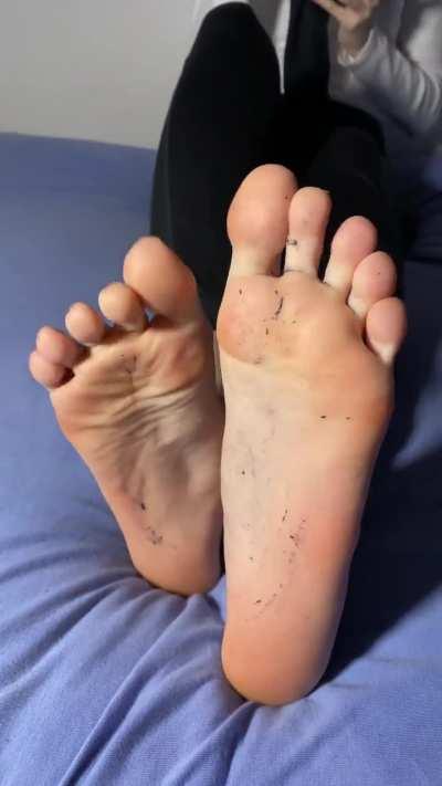 Have they caught your attention?