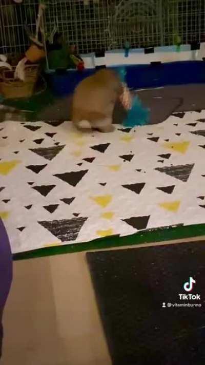 She’s trying to stay up until midnight