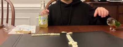 Cookie Monster 🍪🍪🍪