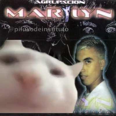 cat vibing to dead little girl song