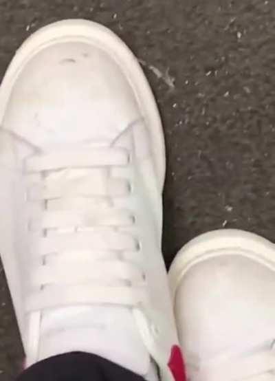 😂😂😂funny asl