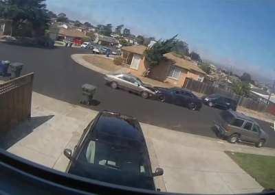 Who's more of the idiot?