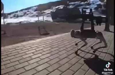 Let’s just keep making terminators