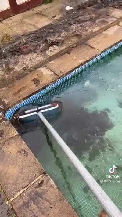 This guy's tik tok is a treasure trove