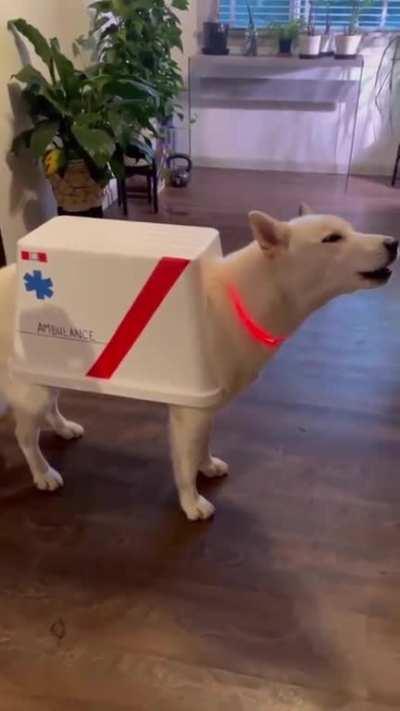 Someone called for an Ambulance ?