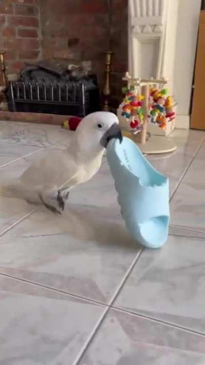 Construction worker says Road work ahead.