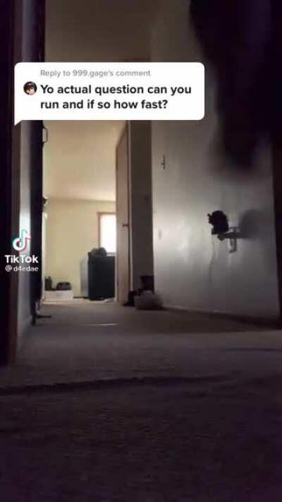 I wanna trip his lil ass