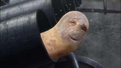 But if you close your eyes