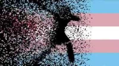 This one is for the ladies