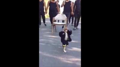 Peruanos cuando reciben los 5 dólares de la familia