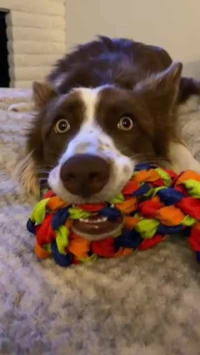 The witching hour. Every. Single. Night.