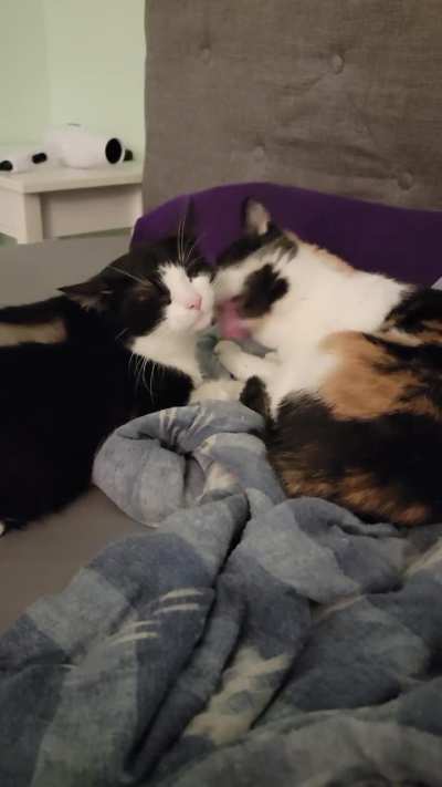 Mika loves her fake daughter