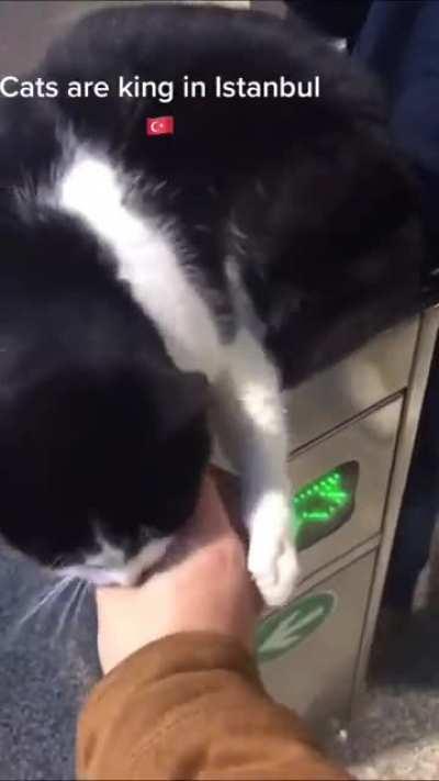 To go into the station