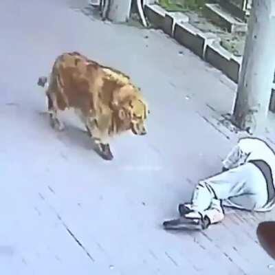 Гражданина, ты туда не ходи