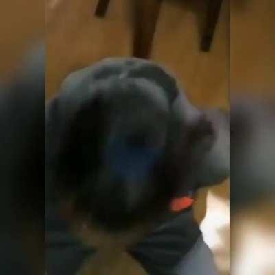 HMC while I drink water