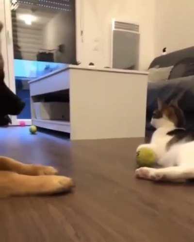 This is mine!! Not yours!