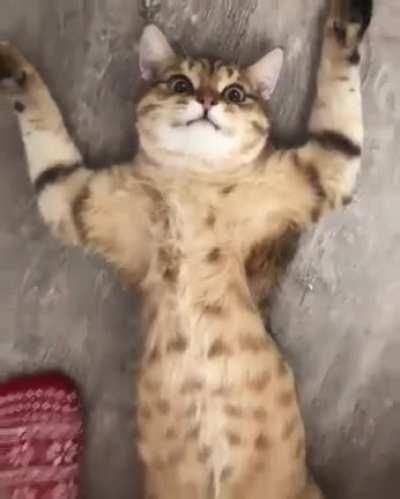 I'm not going to move away for the moment.