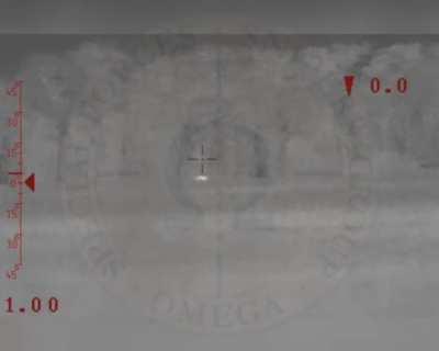 Ukrainian special forces at work