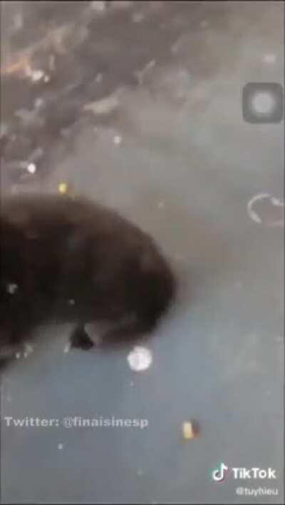 Isso exemplifica a vida de mt gente